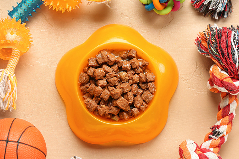 Canine Cuisine – Decoding Dog Food and Treats