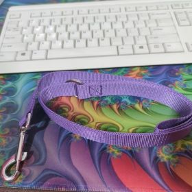 Nylon Material Wear-resistant Traction Dog Traction Rope (Option: Purple-2.0x120cm)