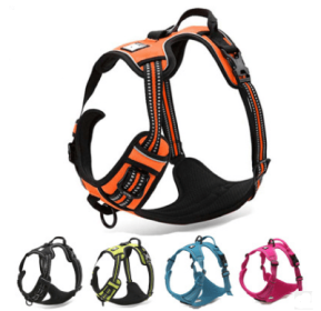 Truelove Pet Adjustable Safety Reflective Nylon Harness for Big Medium Large Dogs (Color: green, size: XS)